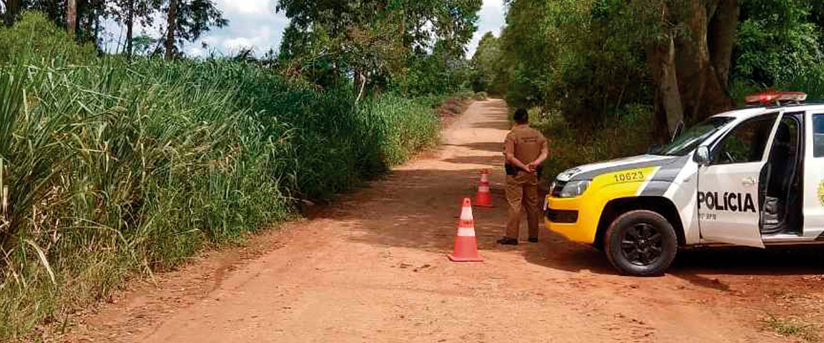 FAEP cobra investimento em conectividade para garantir segurança no meio rural