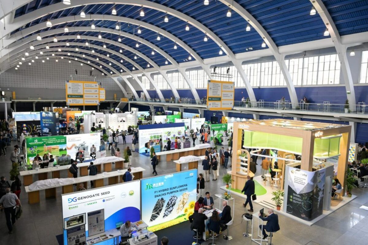 Pesquisa agrícola impulsiona liderança de Estado nas exportações de sementes