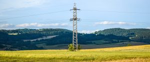 Lei retira do produtor a responsabilidade pela limpeza do entorno da rede elétrica