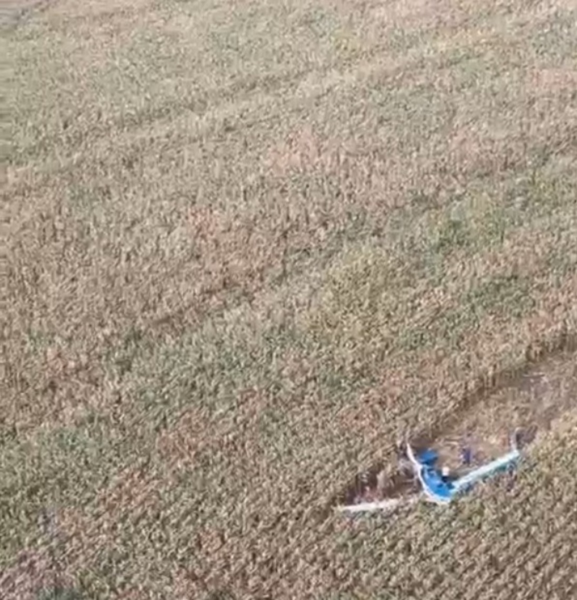 Aeronave cai na zona rural de Marialva