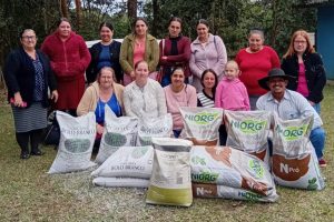 Hortas domésticas e segurança alimentar