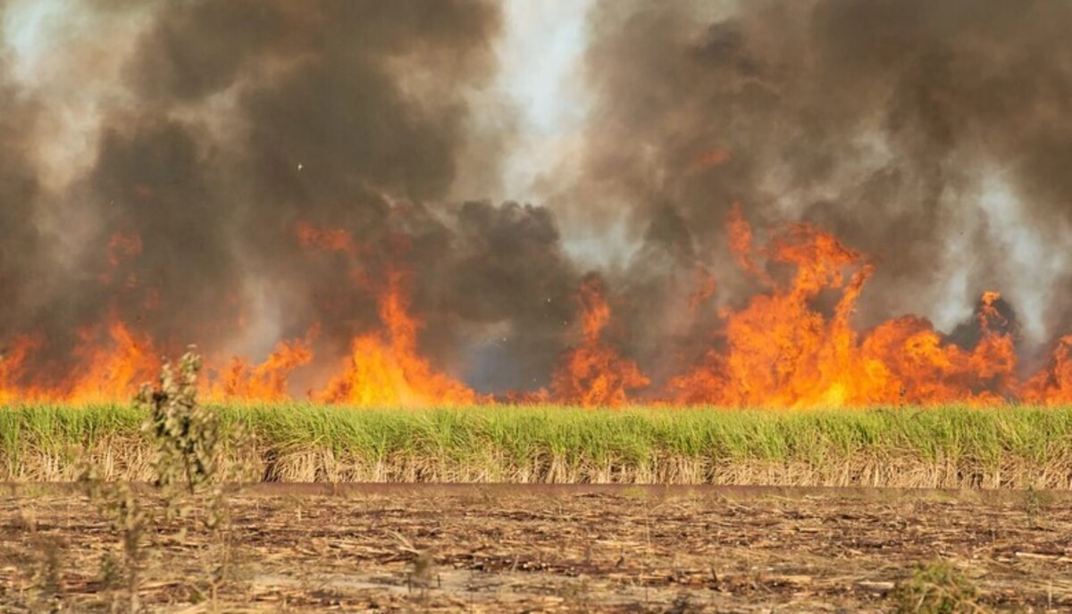Aprosoja-MT: Como evitar problemas legais após incêndios nas lavouras