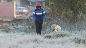 Semana começou com frio de quase 5ºC abaixo de zero