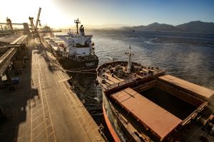 Máquinas e agronegócio: Exportações do Paraná crescem 3,7% em 2026