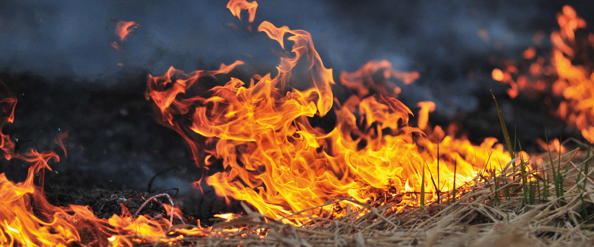 Seca reforça importância da prevenção aos incêndios no campo