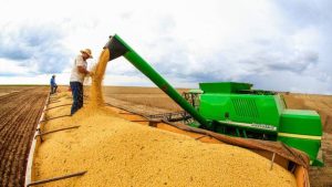 Estado está entre os maiores produtores do país