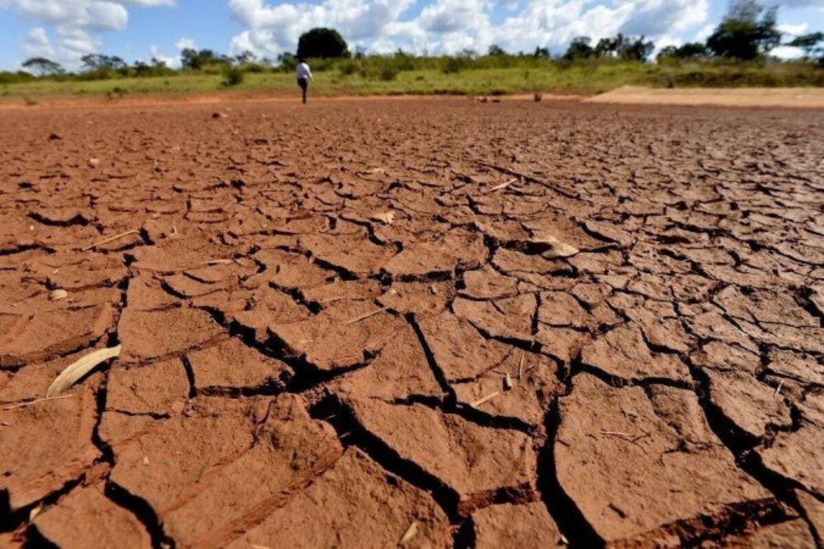 Clima extremo amplia perdas bilionárias no campo e pressiona sistema de seguros