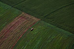 Estado alcança R$ 212,6 bilhões de VBP Agropecuário em 2025