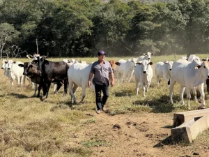 Produtor supera burocracia e investe em novo sistema de produção