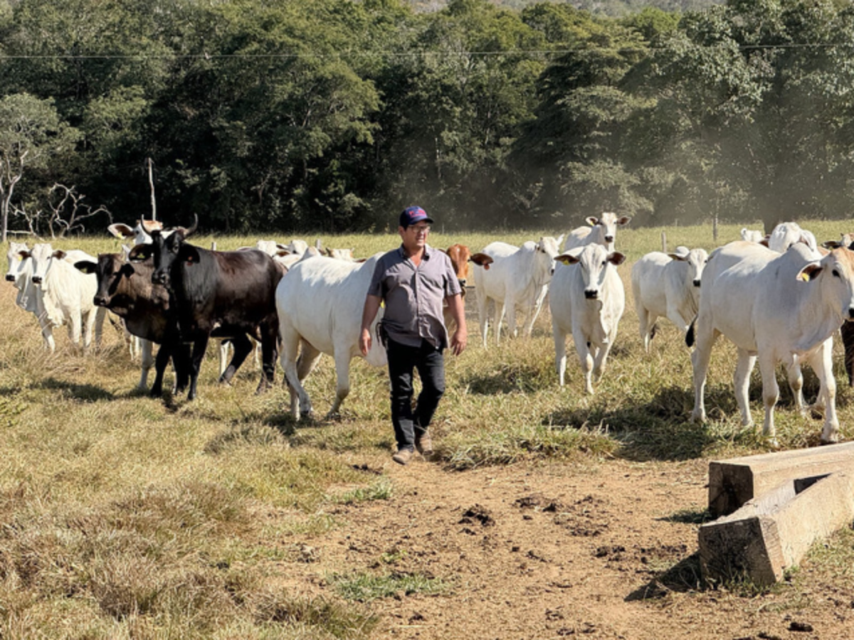 Produtor supera burocracia e investe em novo sistema de produção