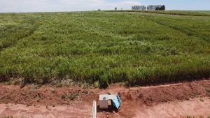 Pesquisa traz dados que contribuem para o manejo do solo de arenito