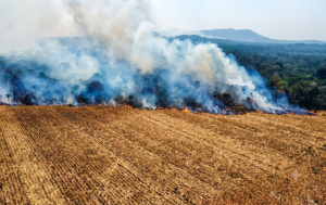 Famato orienta produtores sobre procedimentos em caso de incêndio