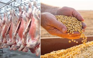 Brasil pode unificar rastreabilidade para blindar soja e carne