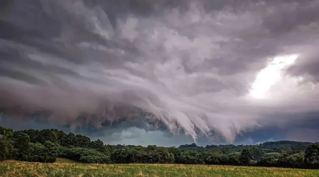 Como será o clima em agosto?