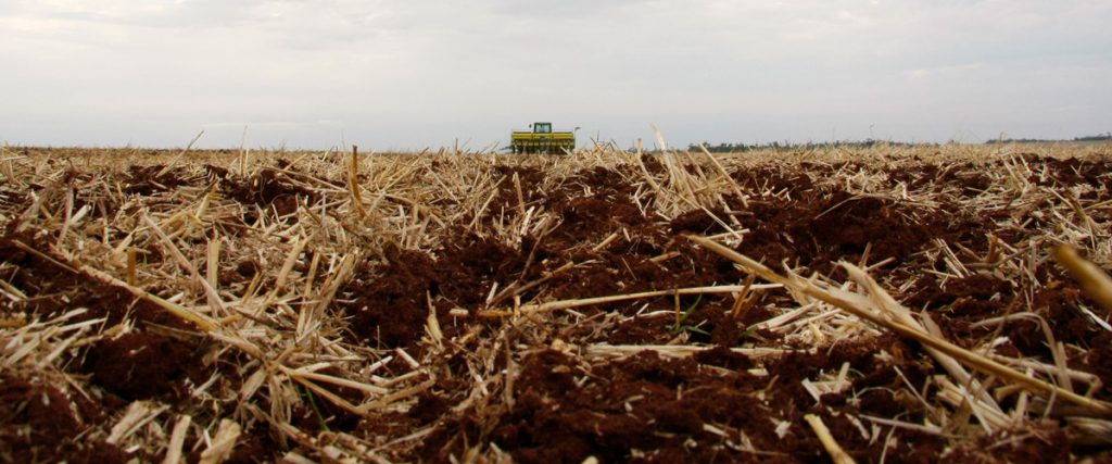 FAEP promove série de Dias de Campo sobre solo