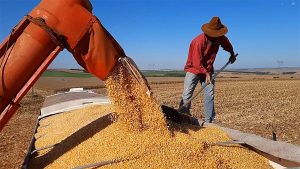 Produtores rurais buscam esclarecimentos sobre preço dos grãos