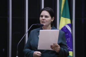Comissão da Câmara aprova “escudo” para responder a barreiras ambientais