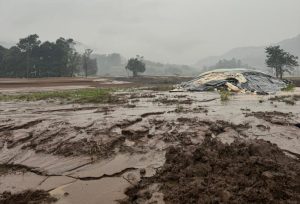 Falta de aviso sobre seguro agrícola pode gerar indenização ao produtor