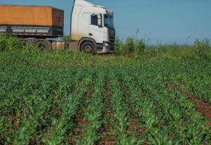 Estudo analisa os impactos da infraestrutura logística na produção agrícola