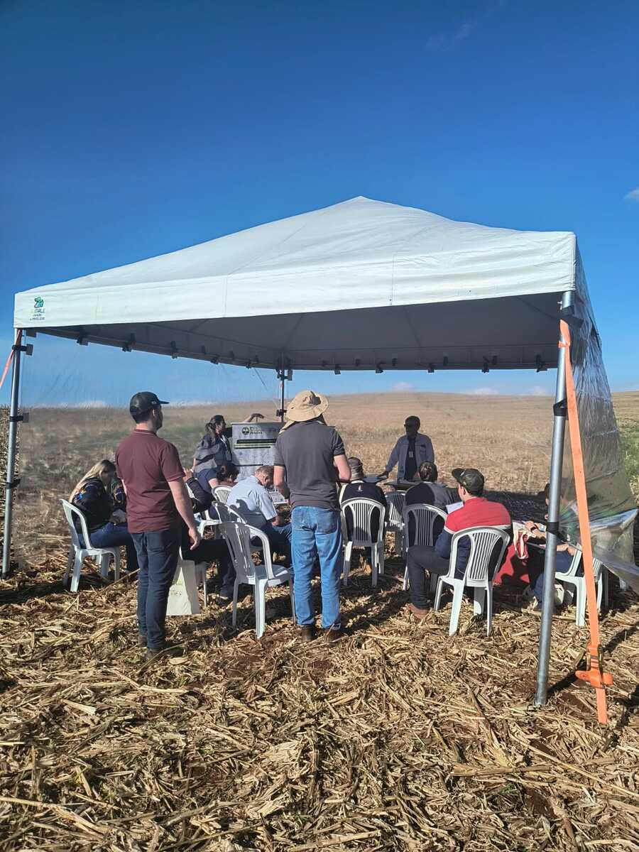 Dia de Campo destaca perdas ‘invisíveis’ de solo