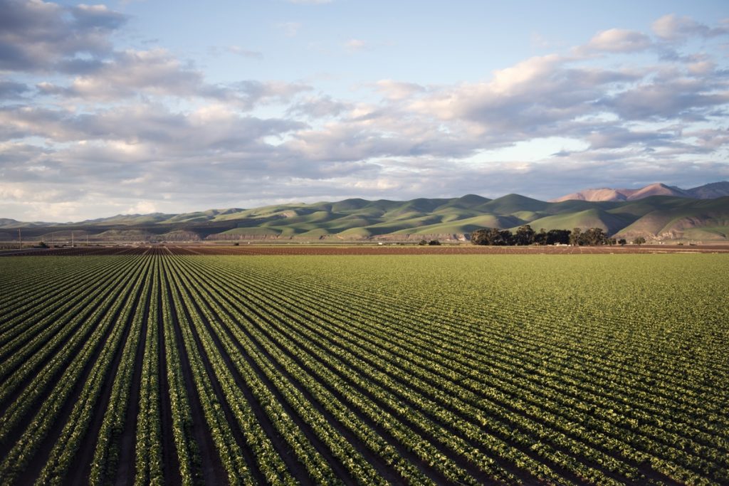 Brasil pode se aproximar da liderança mundial no agro