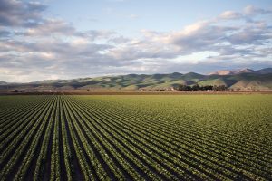 Brasil pode se aproximar da liderança mundial no agro
