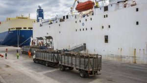 Projeto quer proibir exportar gado vivo