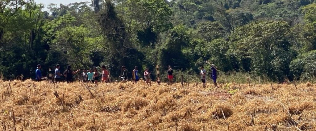 FAEP repudia nova invasão de terra