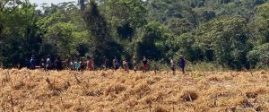 FAEP repudia nova invasão de terra