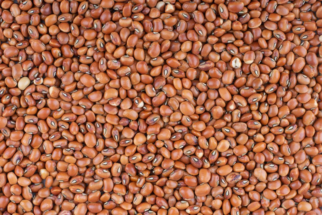 Cotações Agropecuárias: Vendedores firmes limitam recuo do feijão carioca