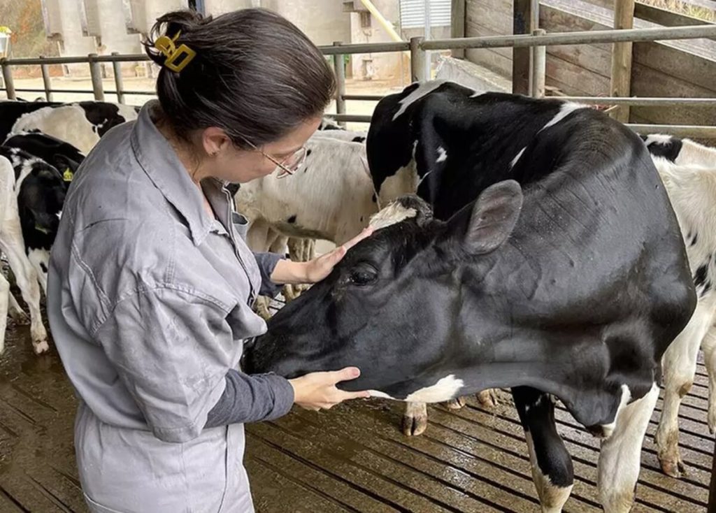 “Mal do olho”: Nova bactéria é descoberta pela Embrapa