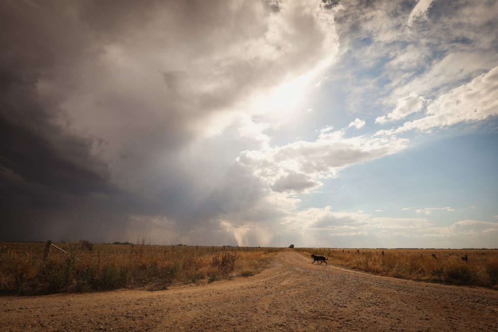Produtor rural têm enfrentado diversos desafios climáticos