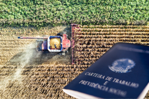 A Agropecuária ocupa terceira posição na geração de emprego