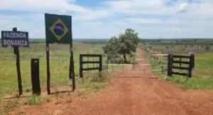 Disputa de herança por terras e fazendas termina em brinde no Tribunal