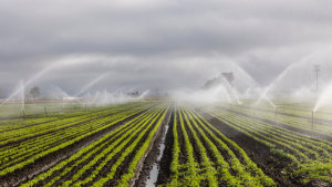 Brasil testa plataforma espacial para pesquisas na agricultura