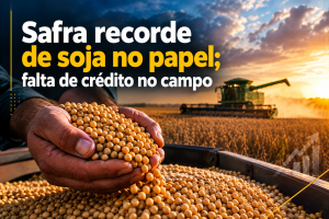 Projeção de safra recorde de soja pode esbarrar na falta de crédito