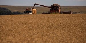 Mesmo com El Niño, orçamento prevê incerteza para Seguro Rural em 2027