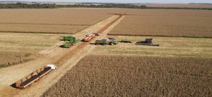 Brasil alimenta o mundo, mas ainda depende do exterior