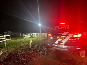 PCPR e PMPR miram organização criminosa ligada a furto de gado