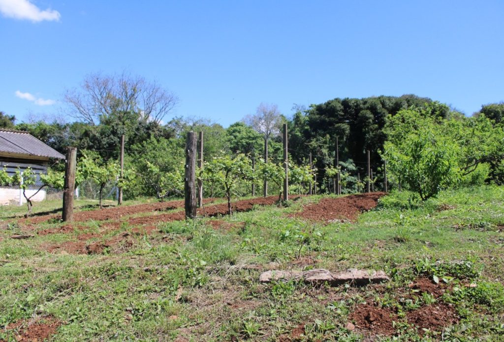 Produtores rurais têm menos de uma semana para entrega do DITR
