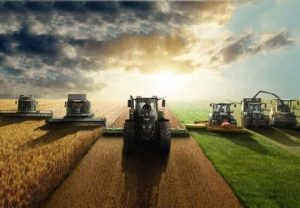 Restrição do crédito rural impulsiona busca por alternativas para investir no campo