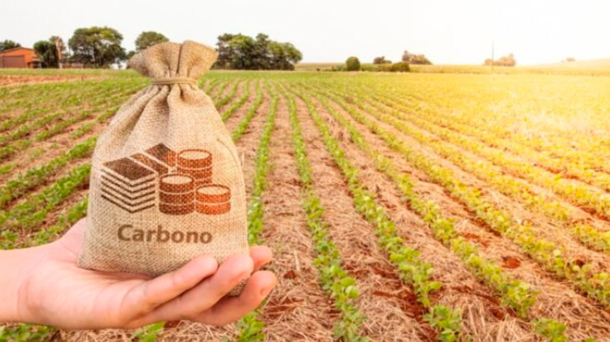 Mercado de carbono gera R$ 556 bilhões por ano