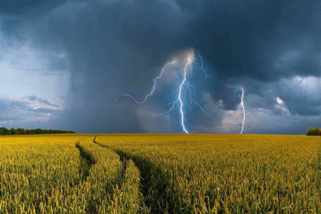 Plantio da soja começa sob risco de El Niño muito forte