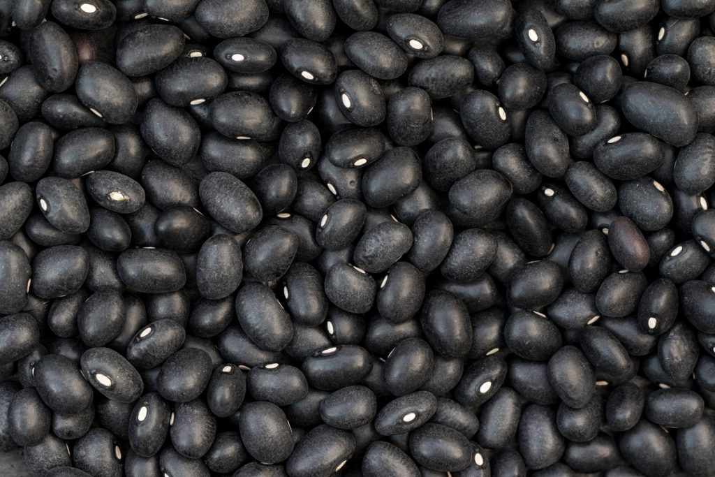 Cotações Agropecuárias: Oferta ajustada sustenta preços do feijão no mercado interno