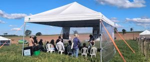 Uso de planta de cobertura mobiliza 70 produtores em Dia de Campo