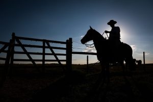 “Estamos fugindo da contratação”: o que tem levado o produtor a evitar Seguro Rural?