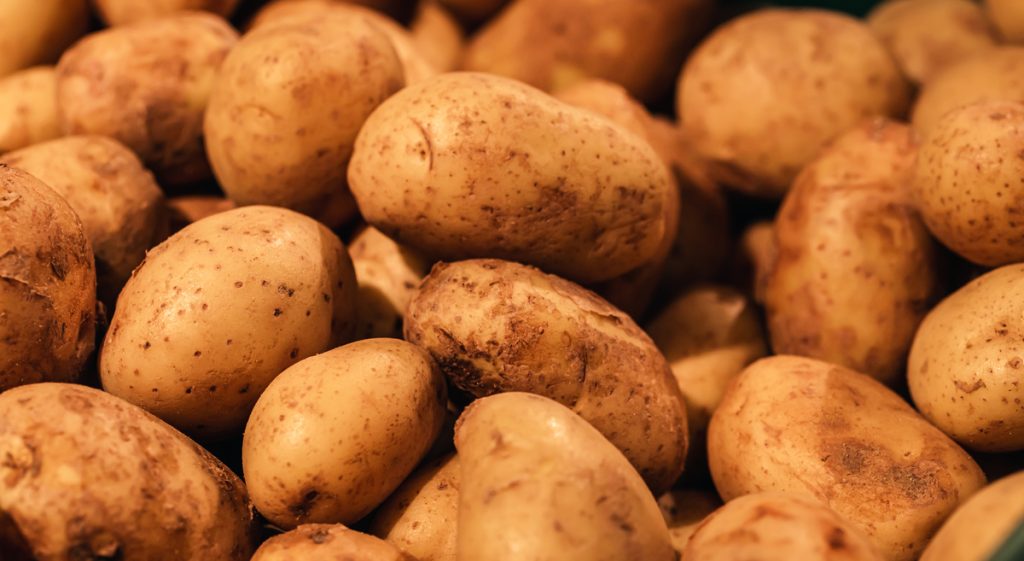 Cotações Agropecuárias: Maior oferta de batata pressiona cotações nos atacados