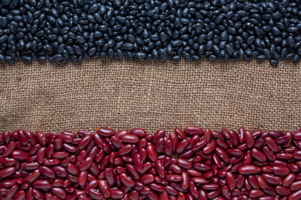 Cotações Agropecuárias: Qualidade sustenta o preto; cautela pressiona o carioca