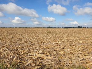Seca não é mais registrada no Paraná