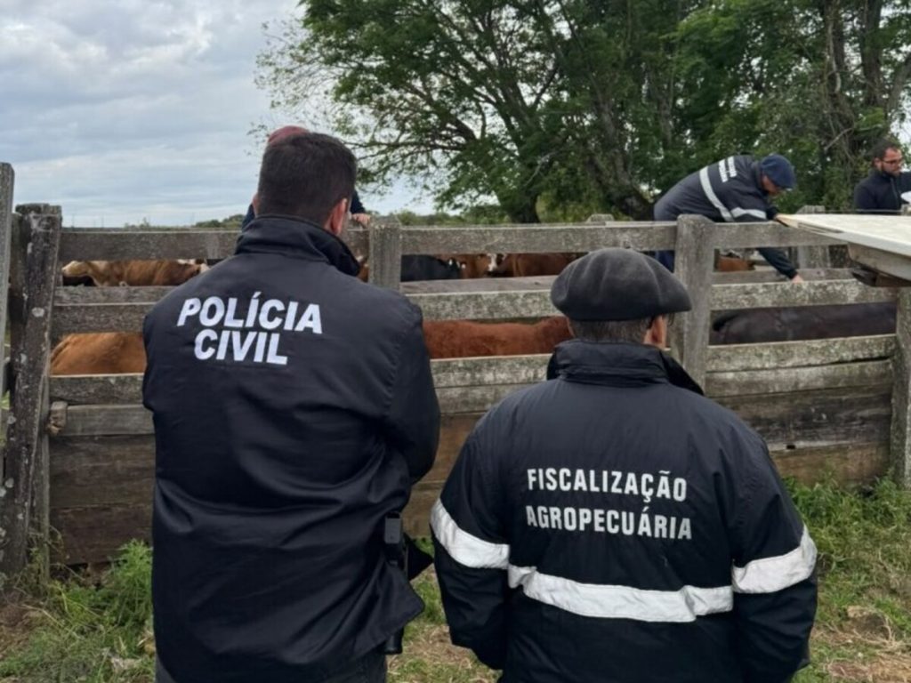 Polícia Civil deflagra operação que investiga desvio de mais de 2,3 mil cabeças de gado